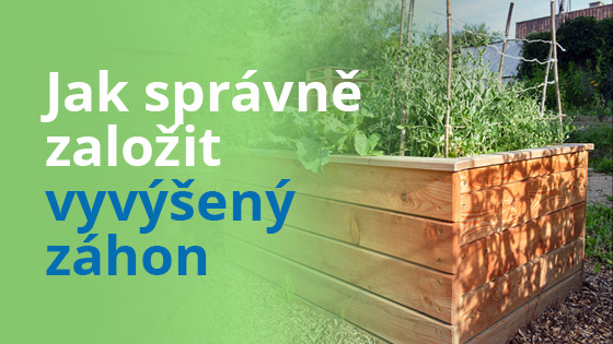 blog-vyvysene-zahony